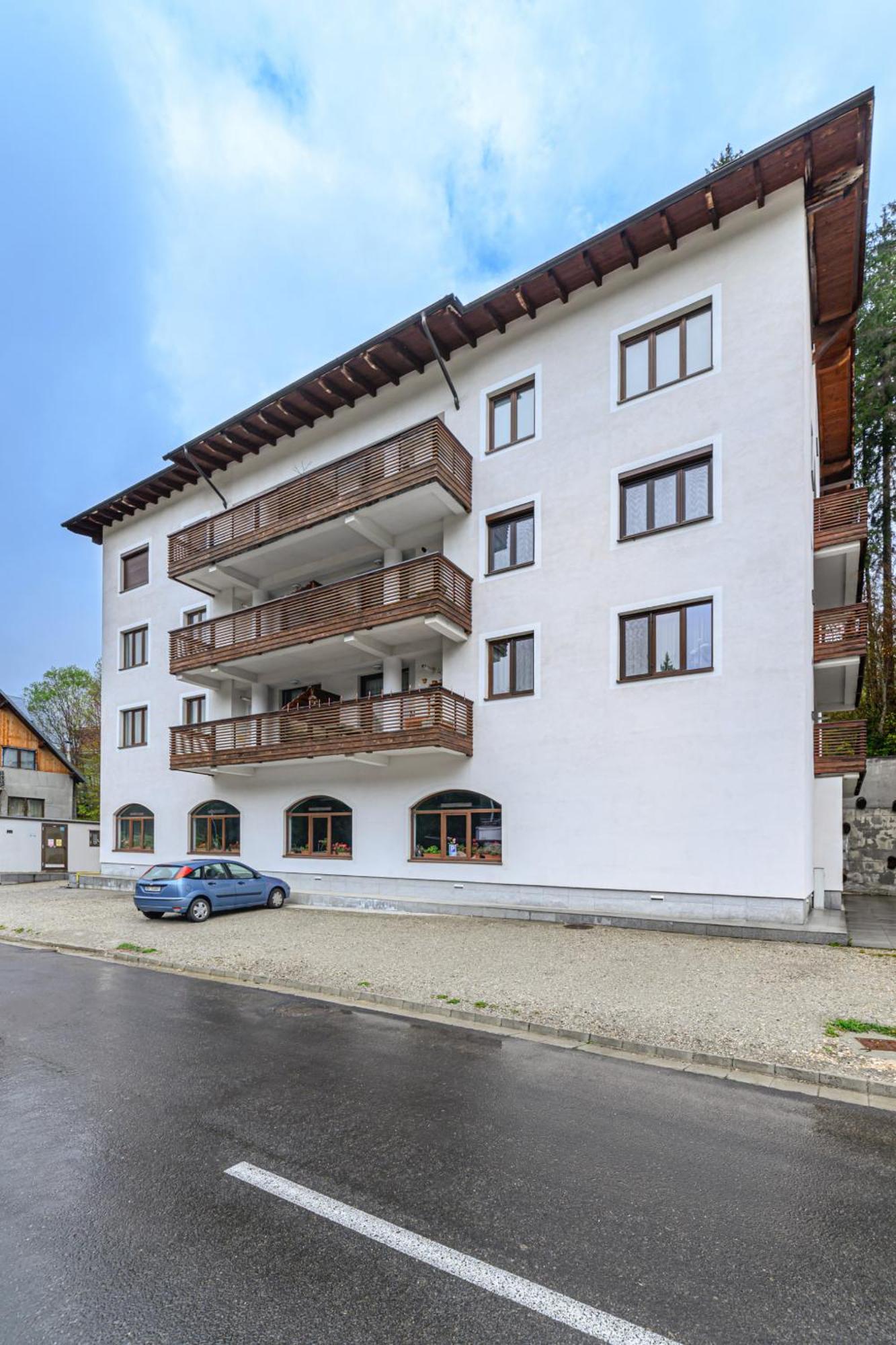Alpin Clabucet Studio Predeal Extérieur photo